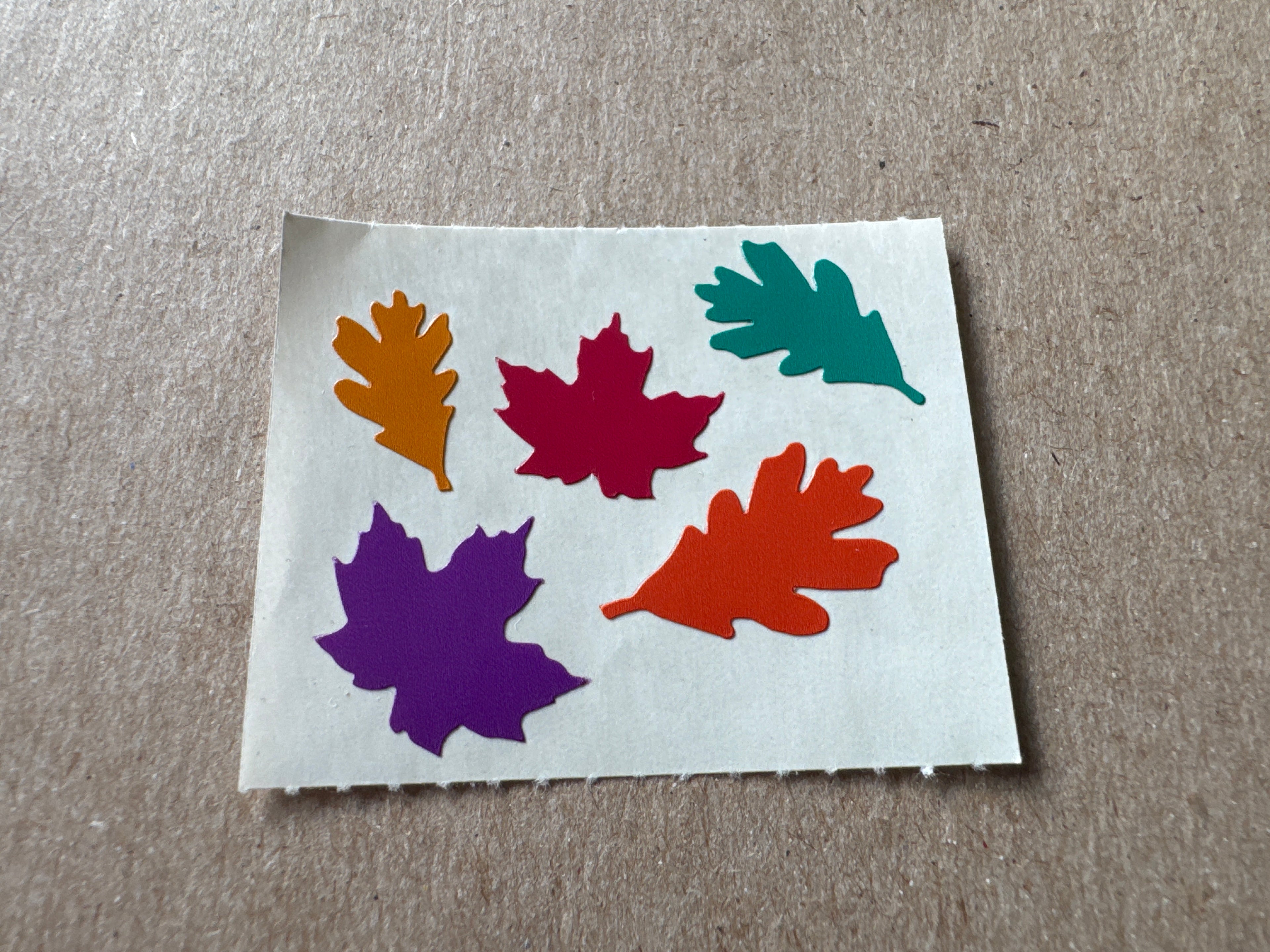 Mrs. Grossman’s Autumn Leaves