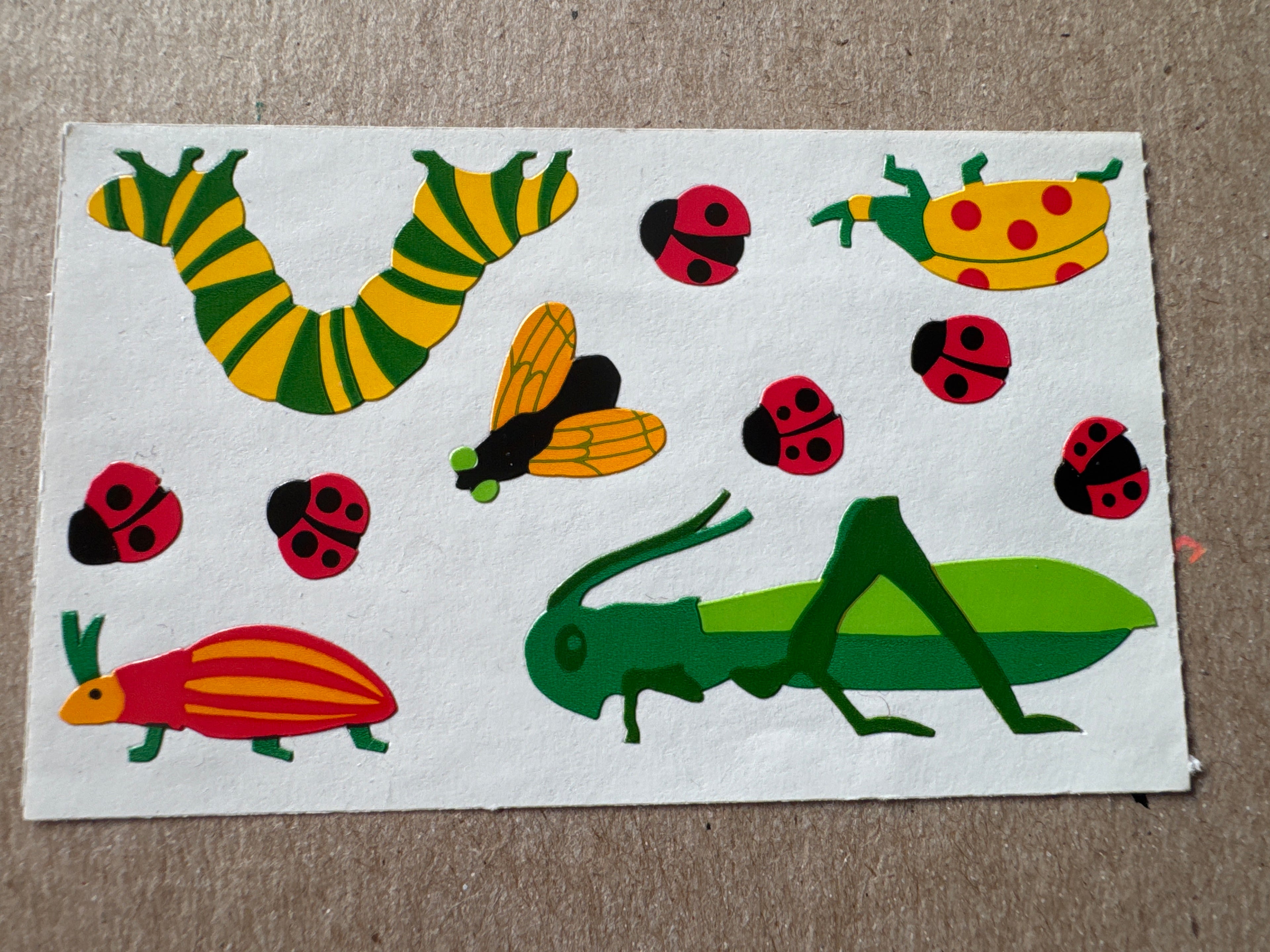 Mrs. Grossman’s Insects Version 1
