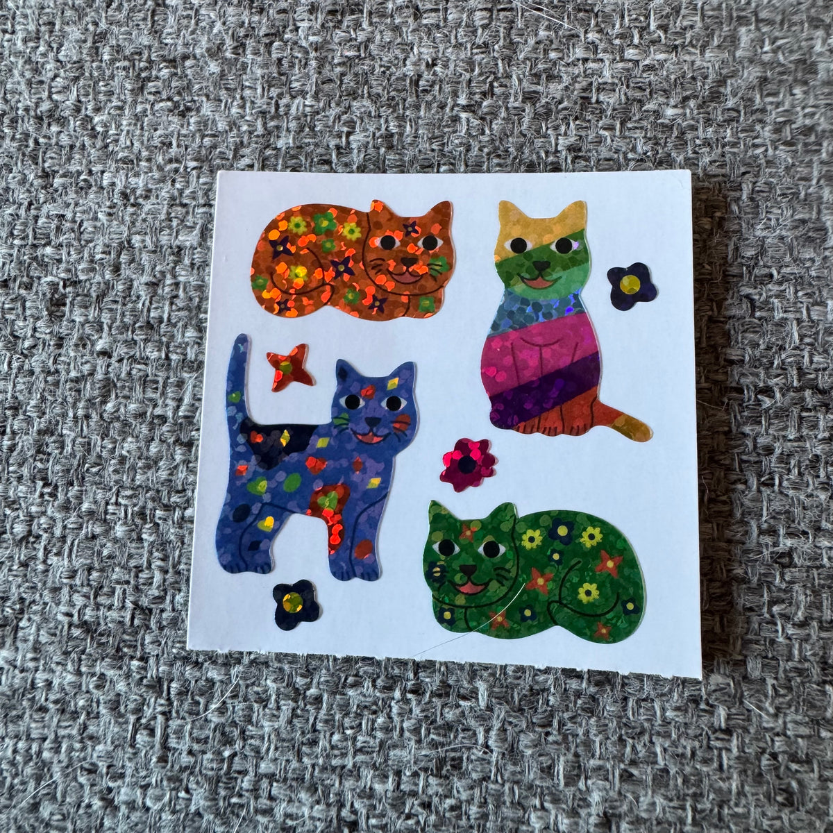 Prismatic Floral Cats