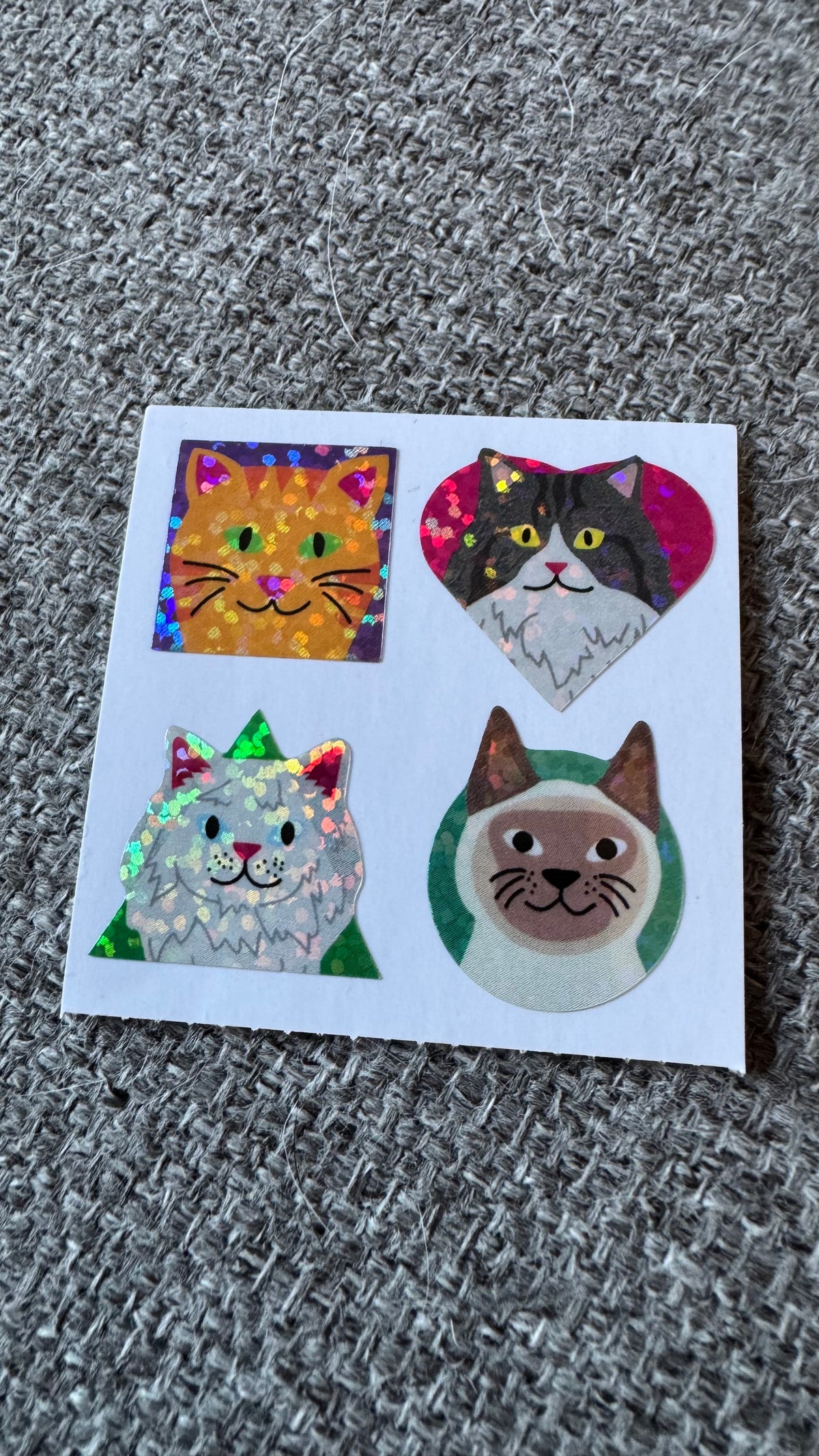 Prismatic Cats