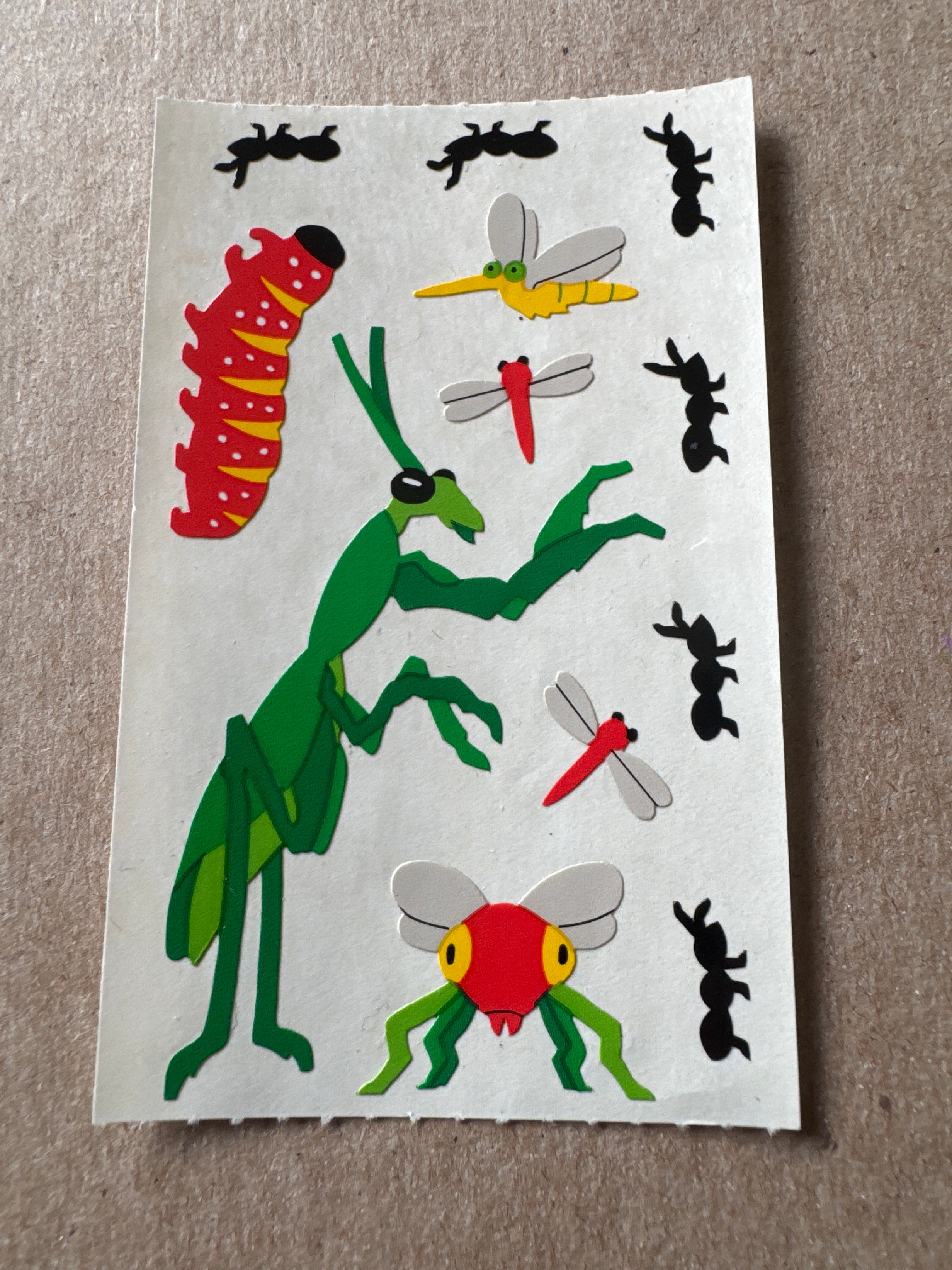 Mrs. Grossman’s Insects Version 2