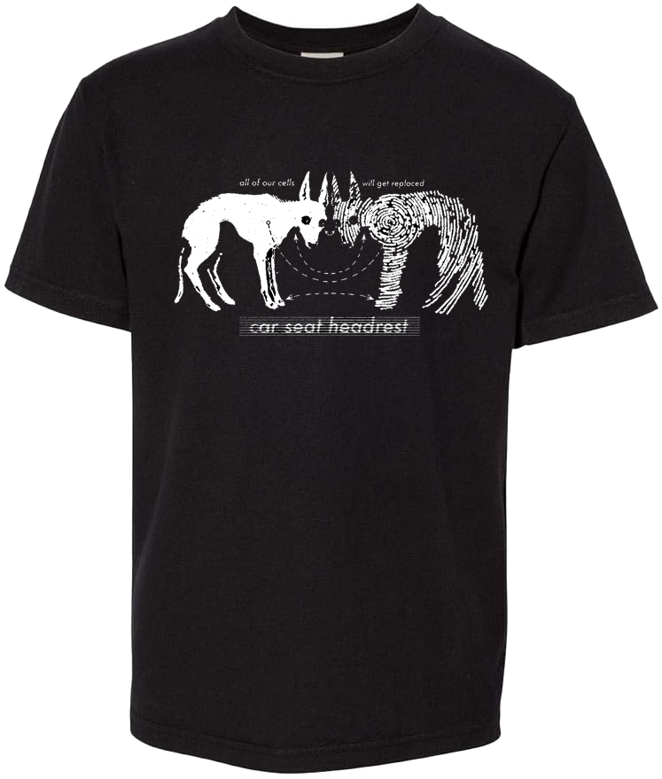 Car Seat Headrest Merchandise