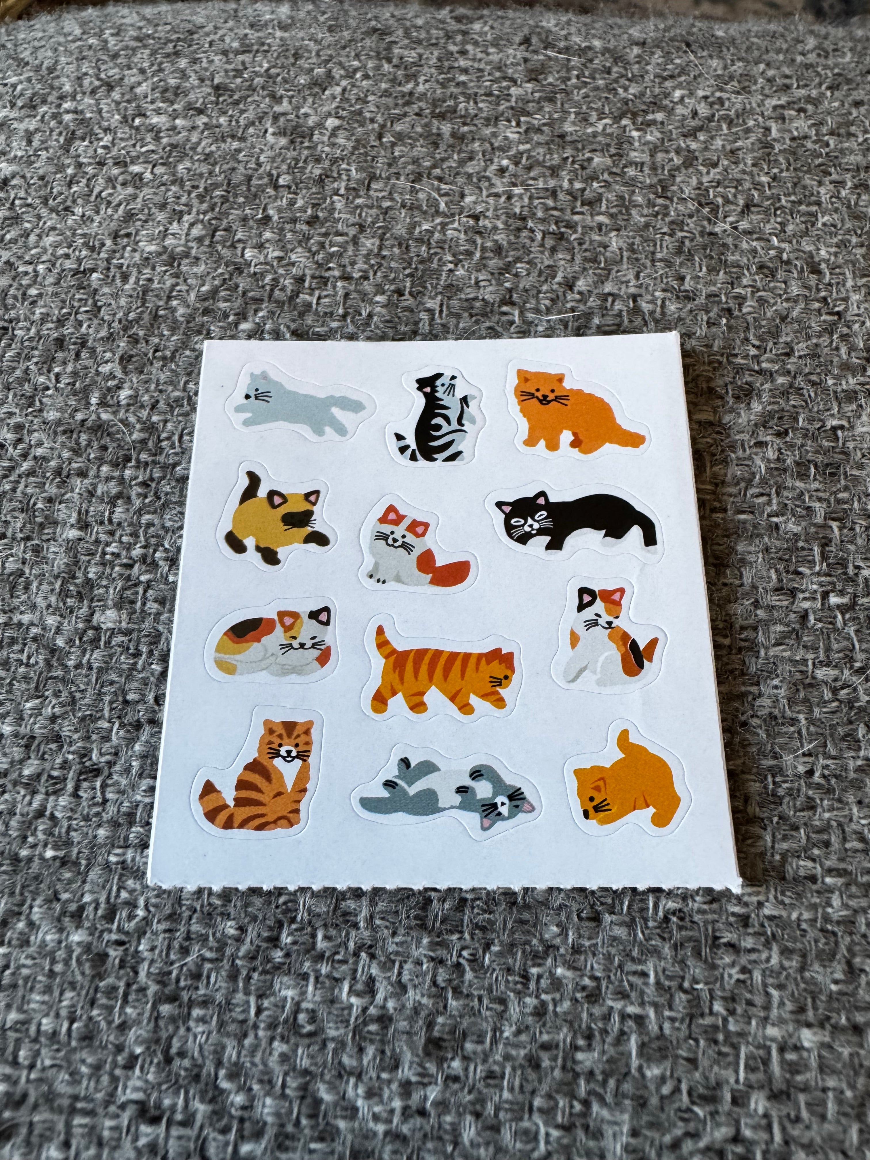 Paper Mod: Cats (SANDYLION)