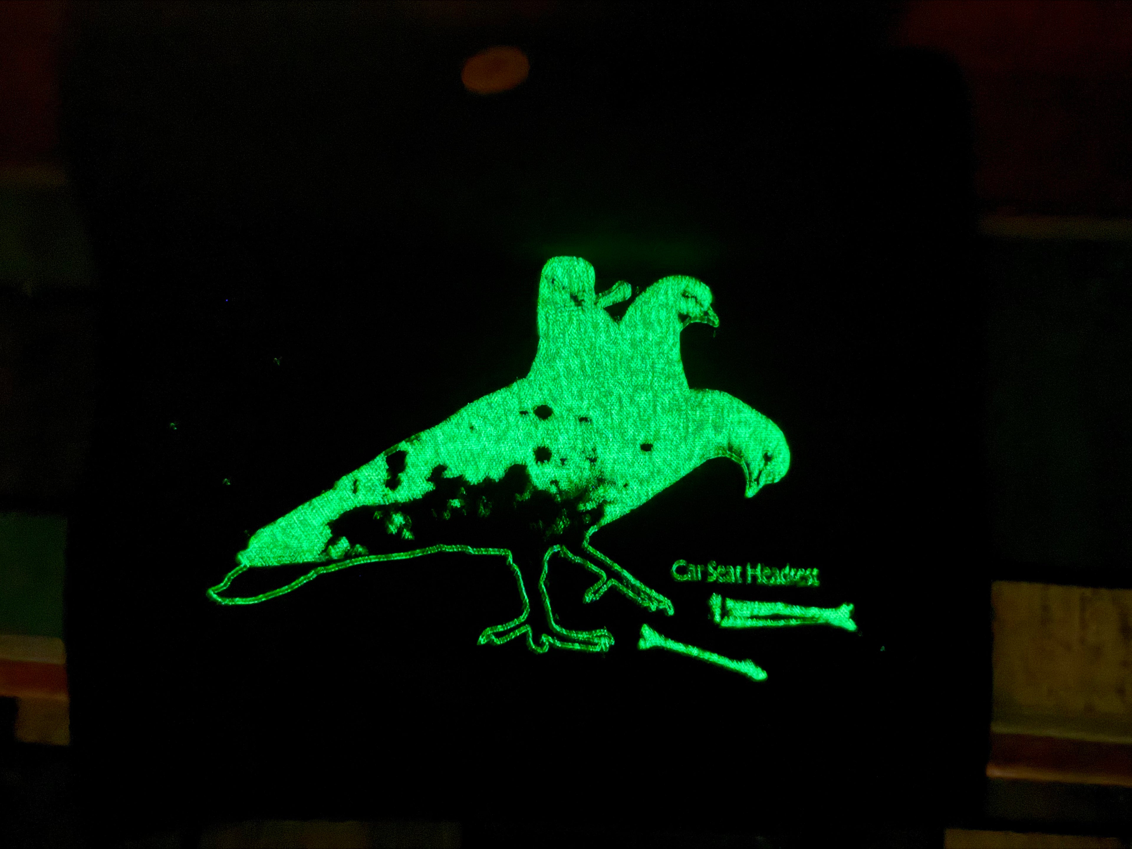 Lady Gay Approximately Tote - Glows in the dark!